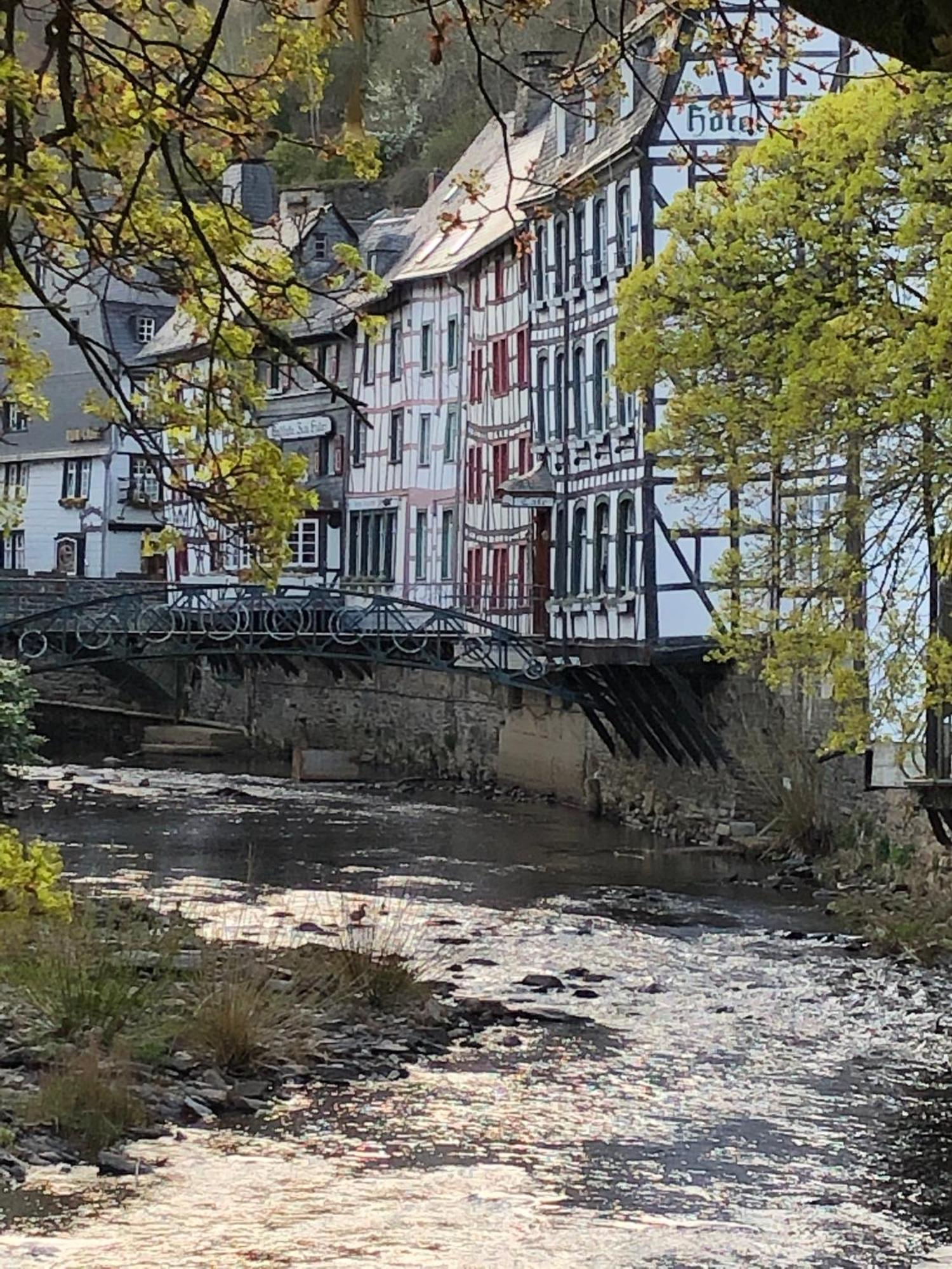 Apartment Am Fluss Im Haus An Der Rur Моншау Экстерьер фото